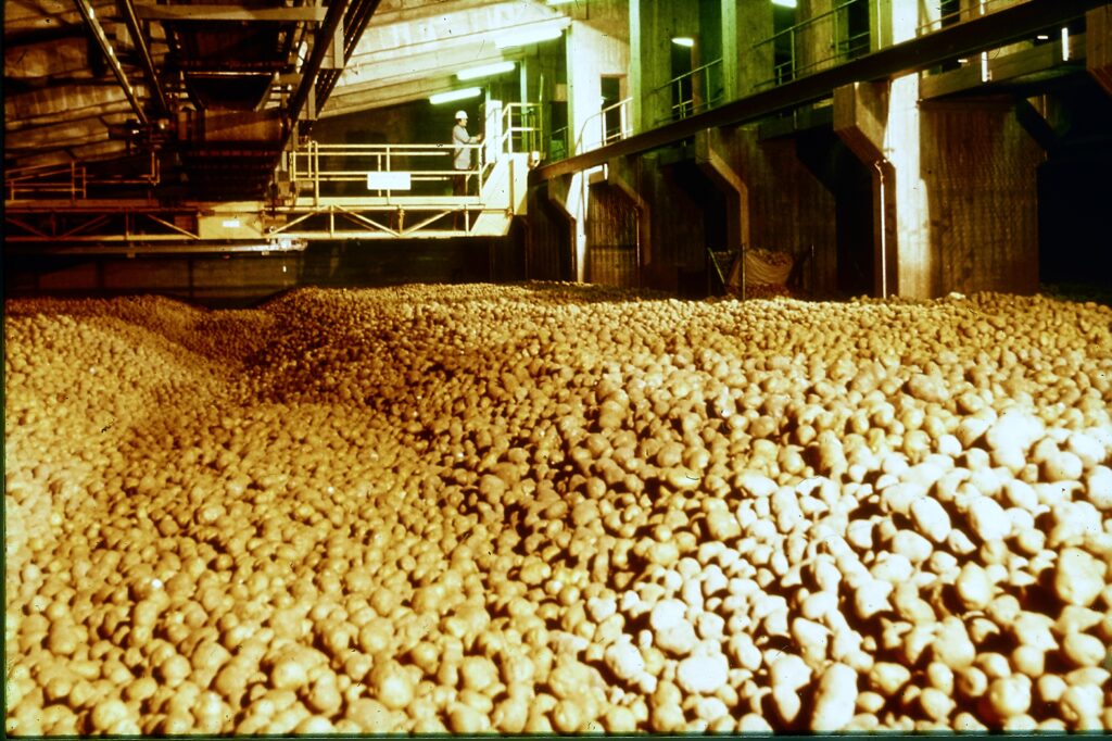 Werk7 Kartoffellager