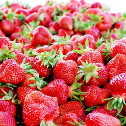 Erdbeeren pflücken in München: Erdbeer-Lang