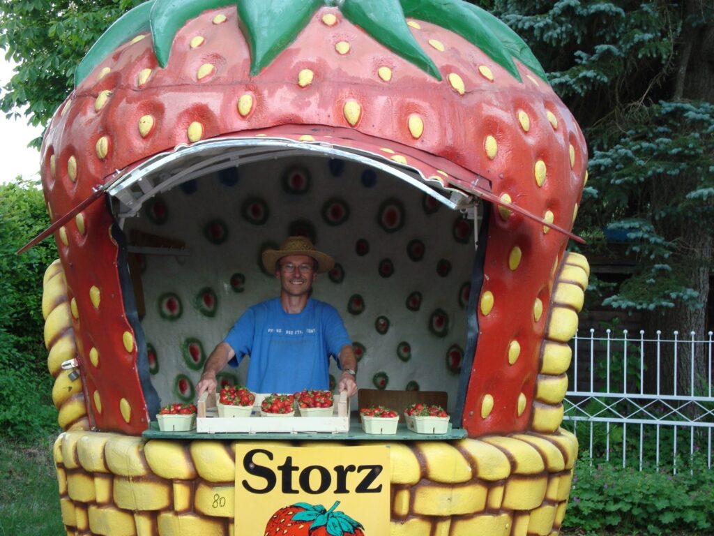 Erdbeeren pflücken München: Storz Erdbeerkulturen